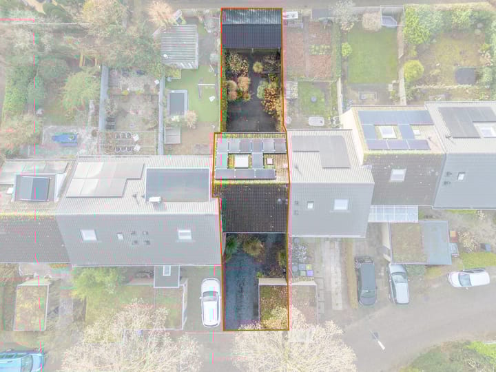 Foto 22 van Scholekster 8