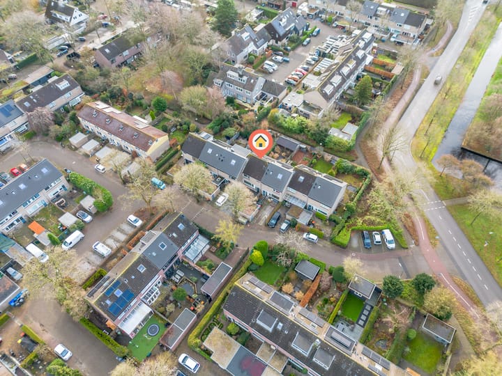 Foto 23 van Scholekster 8