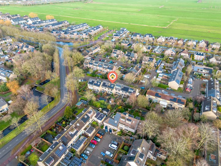 Foto 24 van Scholekster 8