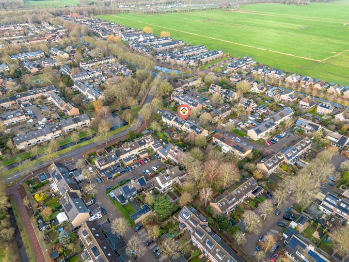 Foto 25 van Scholekster 8