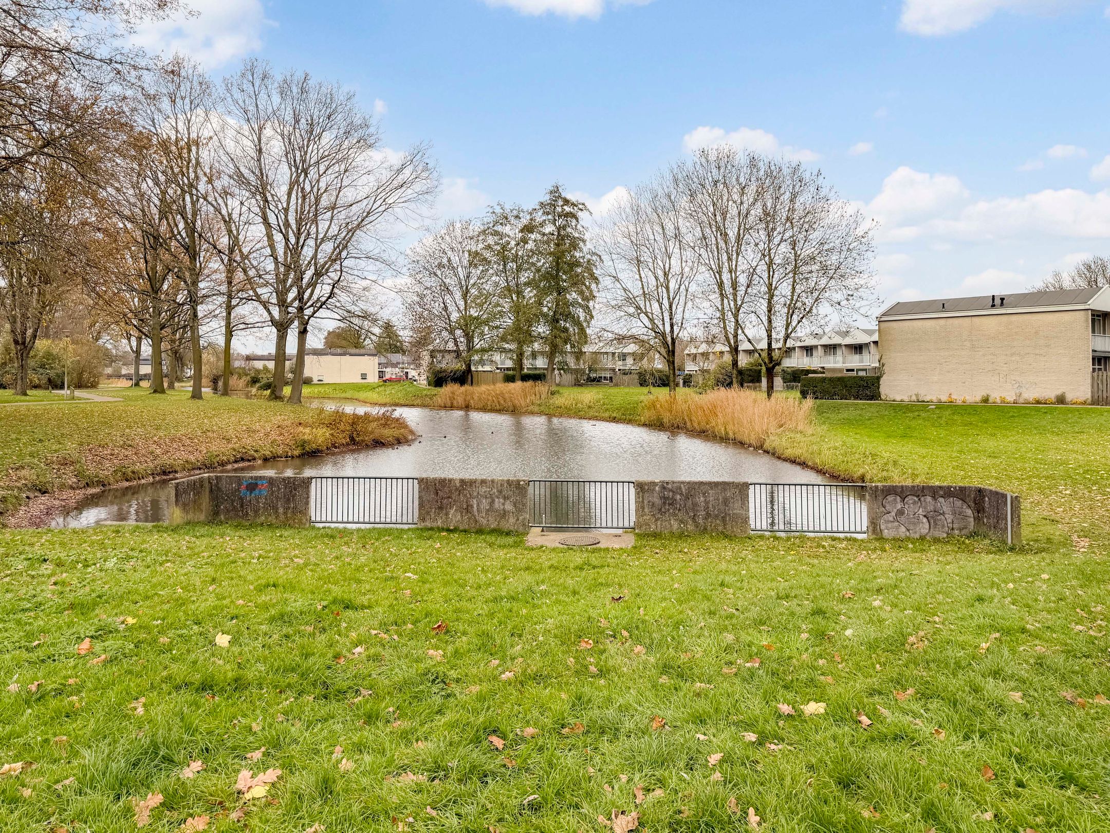 Foto 36 van Rietbaan 41