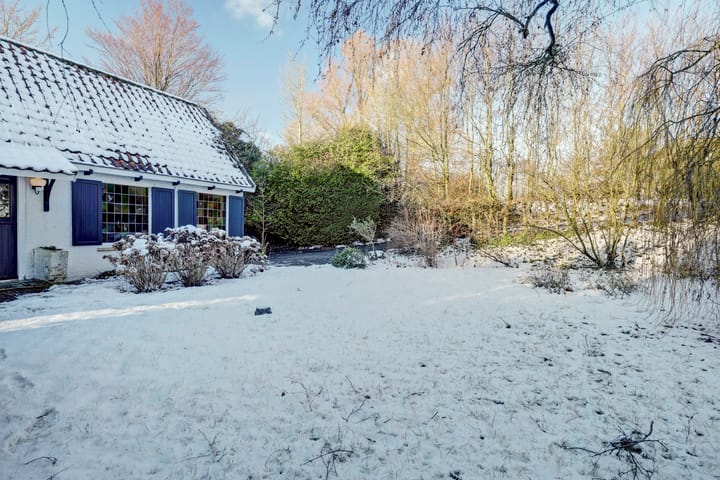 Foto 39 van Zuiddijk 9