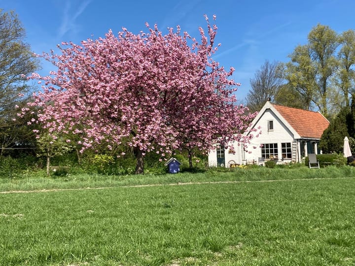 Foto 3 van Zuiddijk 9