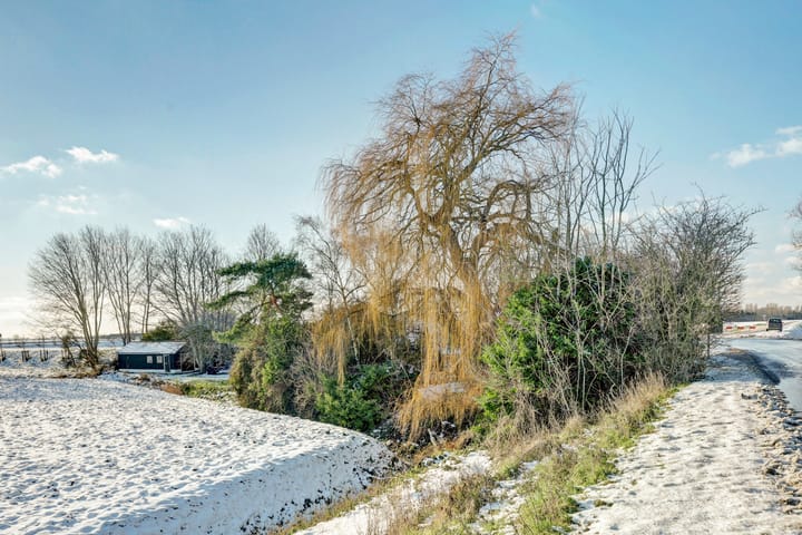 Foto 51 van Zuiddijk 9