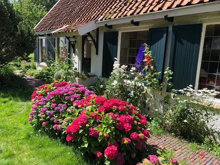 Foto 64 van Zuiddijk 9