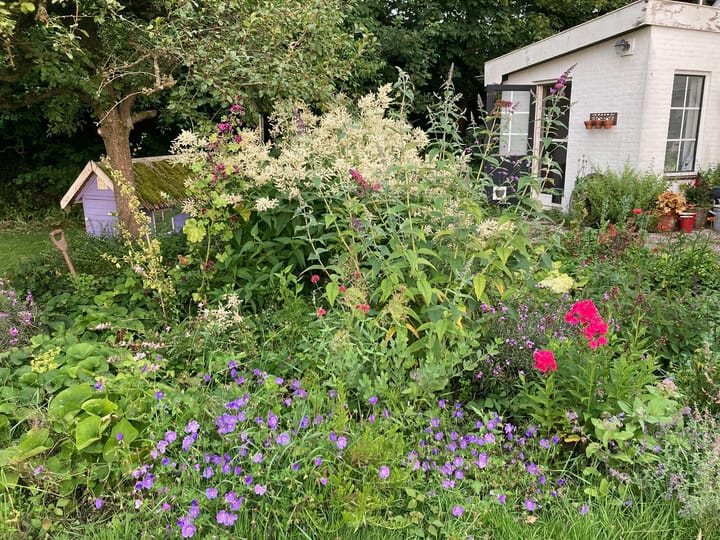 Foto 67 van Zuiddijk 9