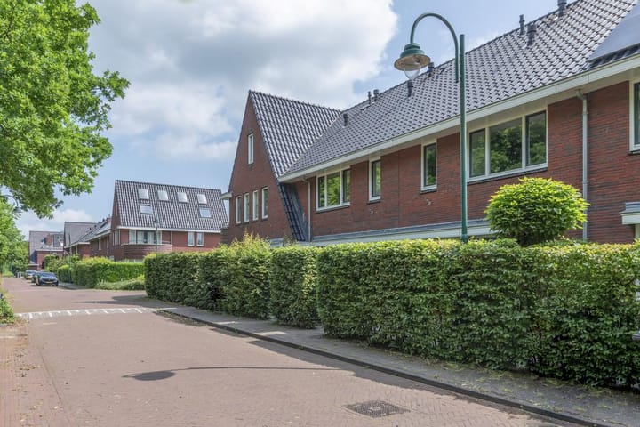 Vierkante Bosje 48 main image