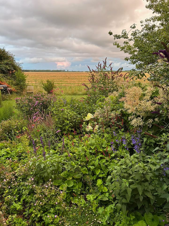 Foto 70 van Zuiddijk 9