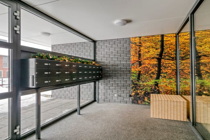 Foto 2 van Lisdodde 15-001