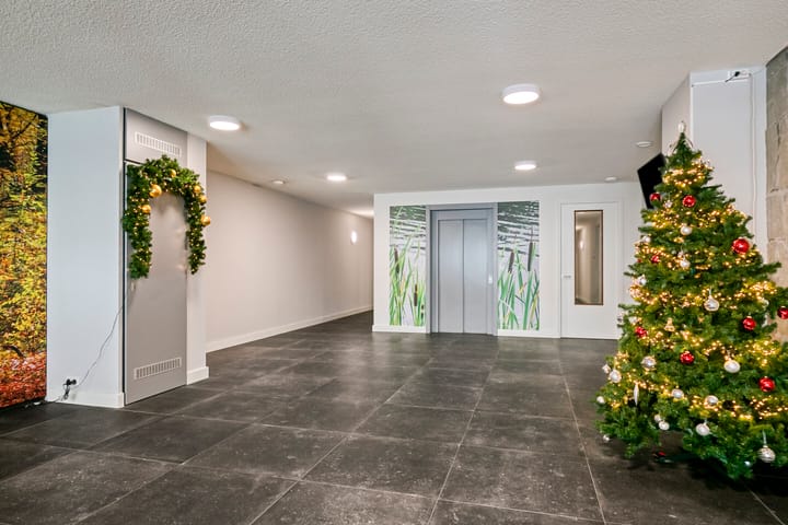 Foto 3 van Lisdodde 15-001