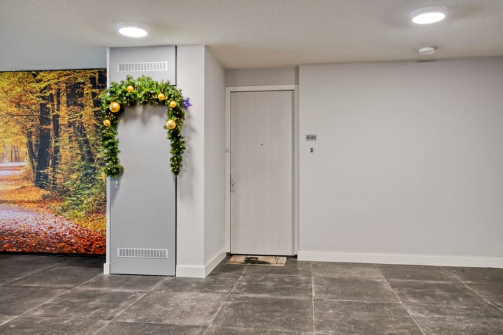 Photo 5 of Lisdodde 15-001