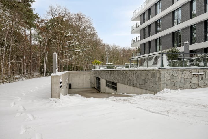 Photo 41 of Lisdodde 15-001