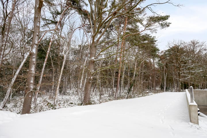 Photo 47 of Lisdodde 15-001