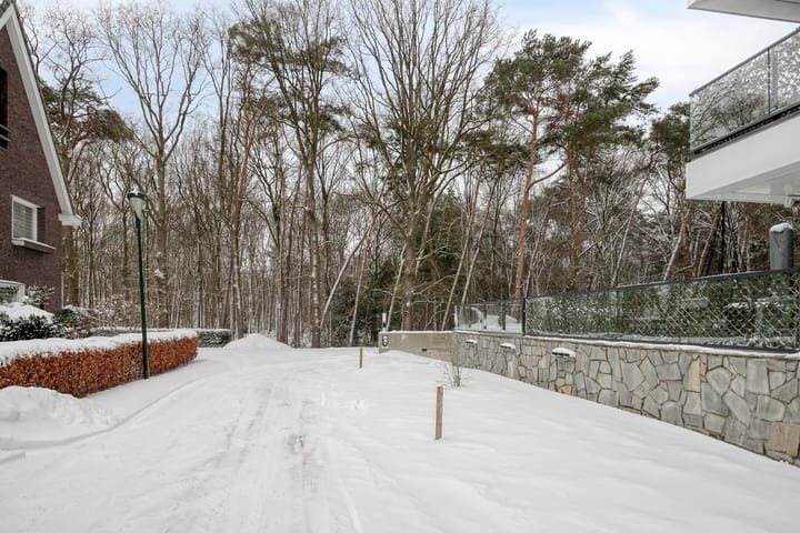 Photo 48 of Lisdodde 15-001