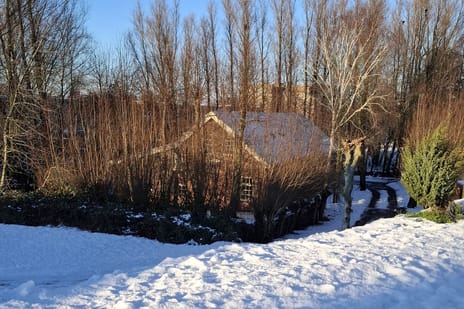 Rivierdijk thumbnail