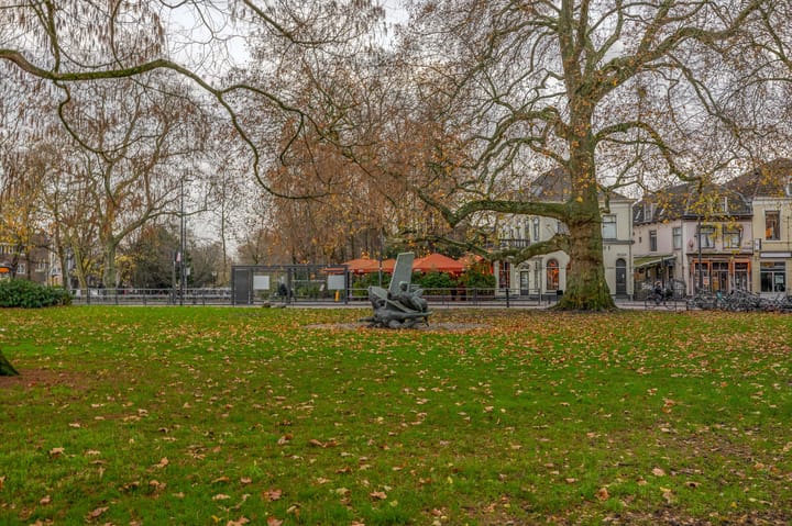 Foto 53 van Nobeldwarsstraat 10-B