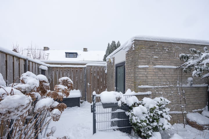 Foto 29 van Praam 14