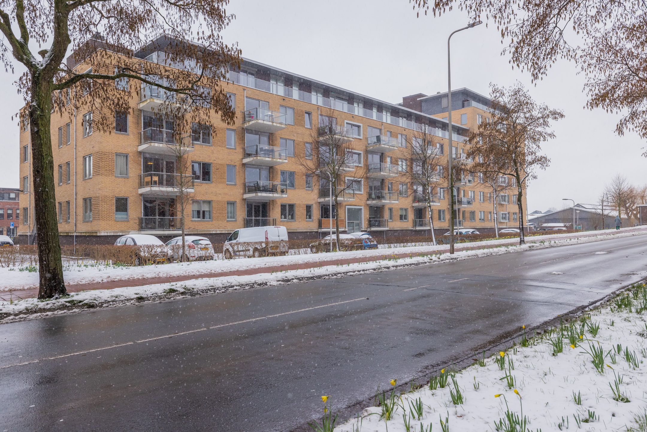 Buying a house in The Netherlands., Jan van Goyenplein 63