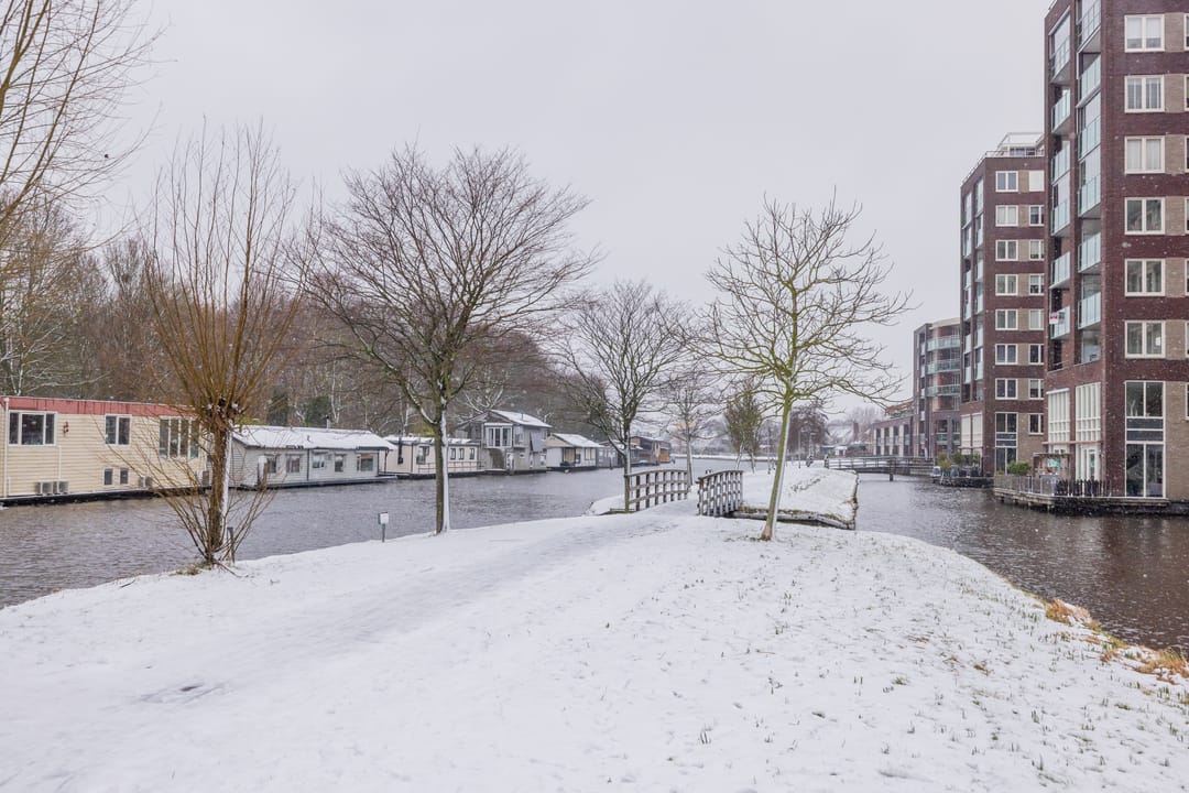 Foto 22 van Jan van Goyenplein 63