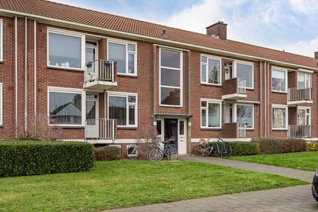 Gronausestraat thumbnail