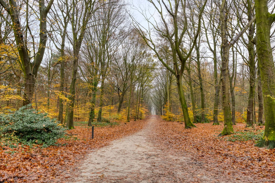 Photo 52 of Kijkduinlaan 3