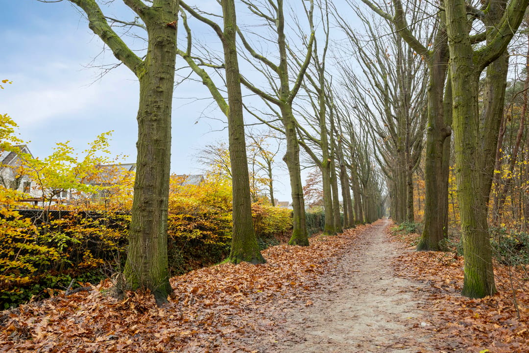 Photo 53 of Kijkduinlaan 3