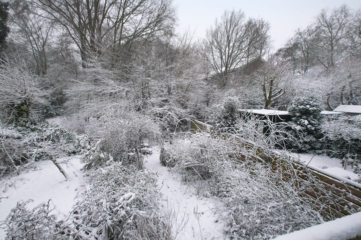 Foto 2 van Nieuwendammerdijk 38