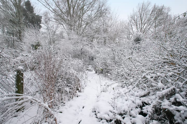 Foto 25 van Nieuwendammerdijk 38