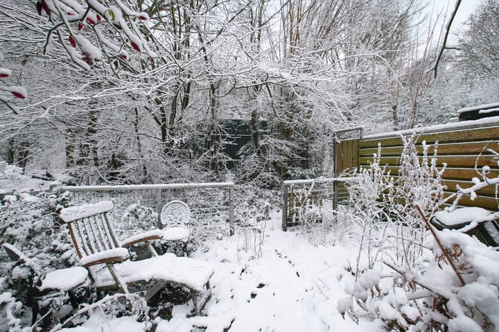 Foto 26 van Nieuwendammerdijk 38