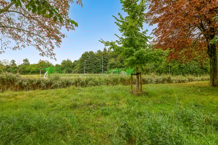 Foto 41 van Crouwelstraat 25