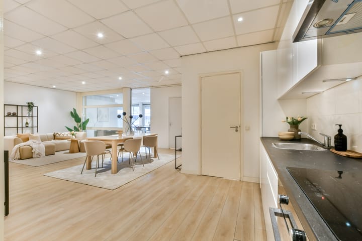 Foto 15 van Oud-Loosdrechtsedijk 252-D