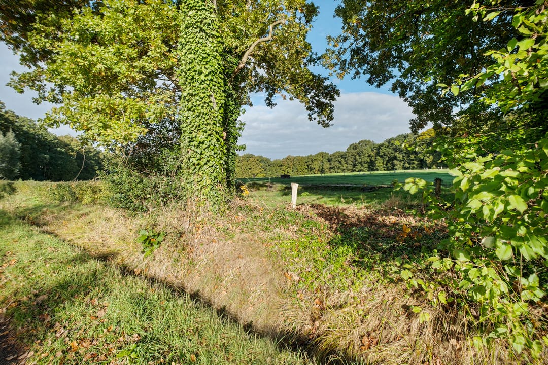 Photo 52 of Stokhorstlaan 92