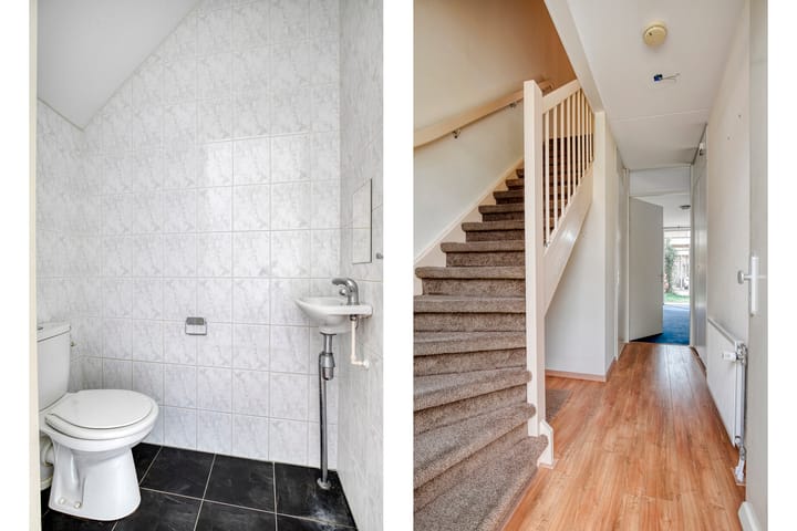 Foto 5 van Grasfonteinkruid 7