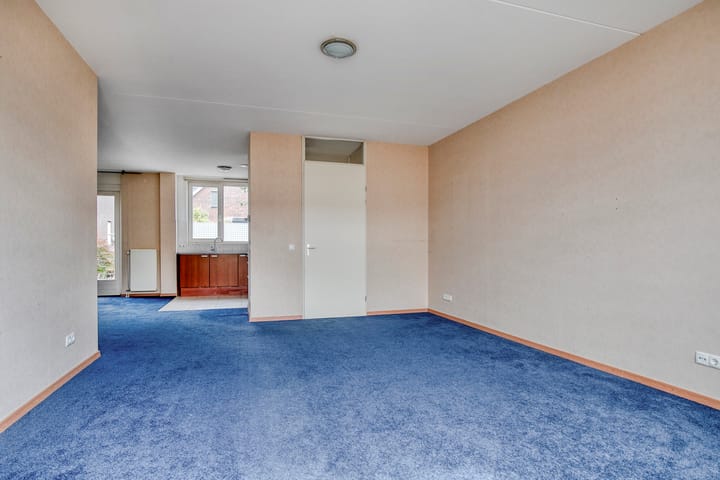 Foto 8 van Grasfonteinkruid 7