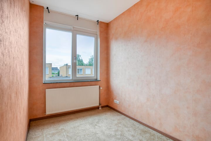 Foto 20 van Grasfonteinkruid 7