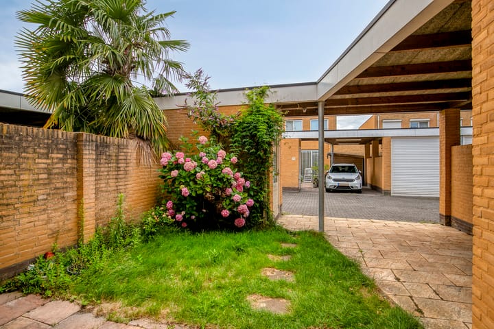 Foto 22 van Grasfonteinkruid 7