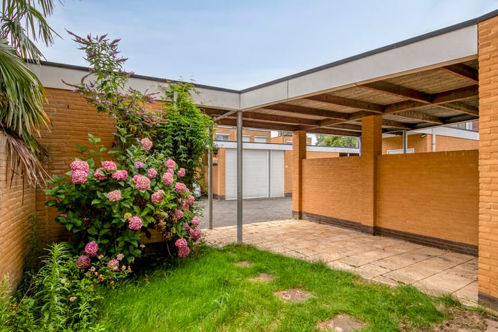 Foto 23 van Grasfonteinkruid 7