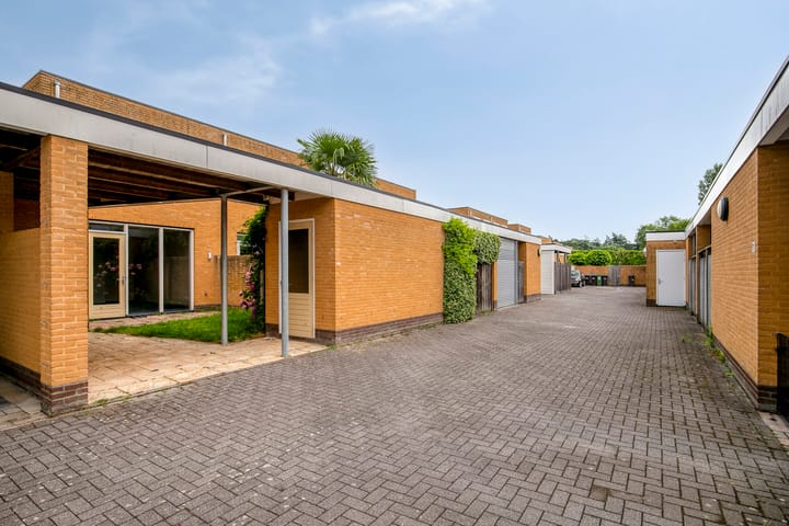 Foto 25 van Grasfonteinkruid 7