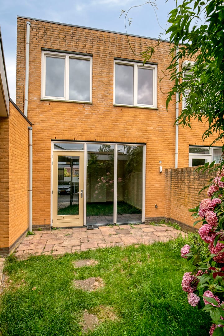 Foto 26 van Grasfonteinkruid 7