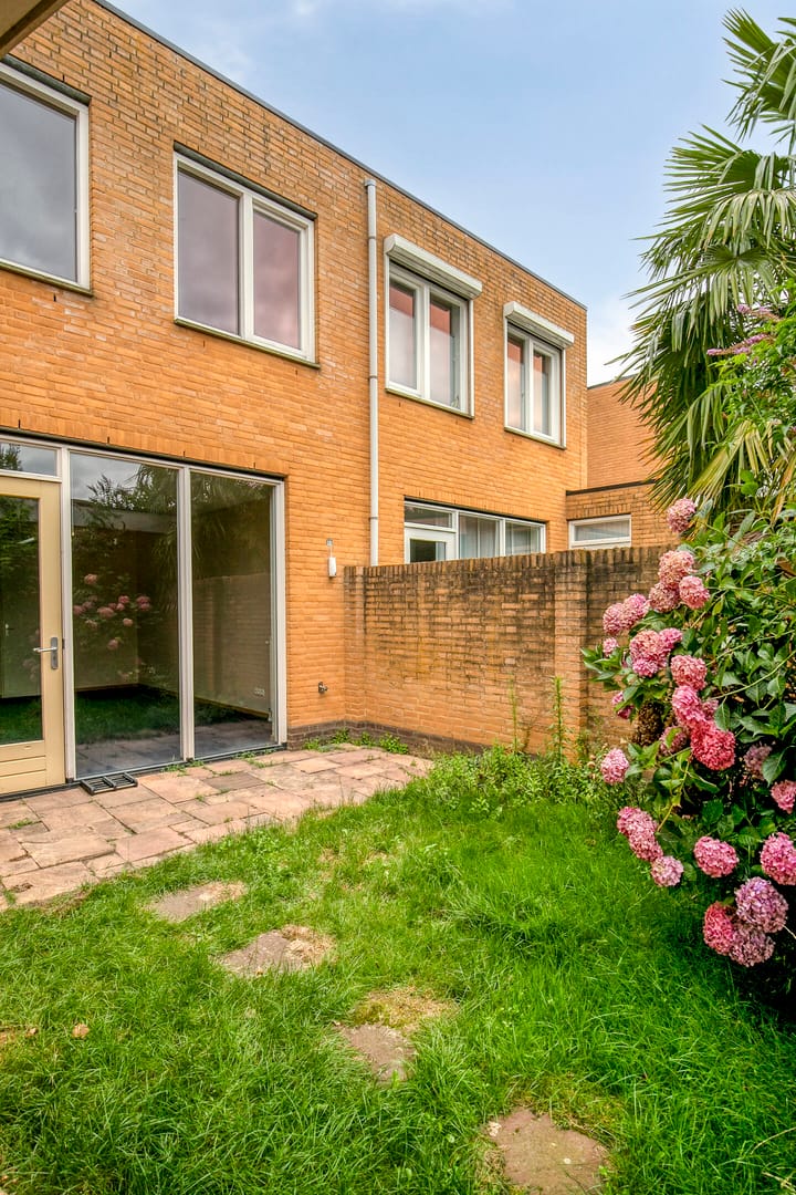 Foto 27 van Grasfonteinkruid 7