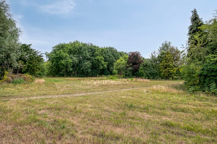 Foto 28 van Grasfonteinkruid 7