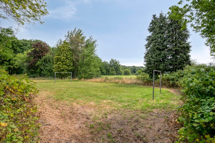 Foto 29 van Grasfonteinkruid 7