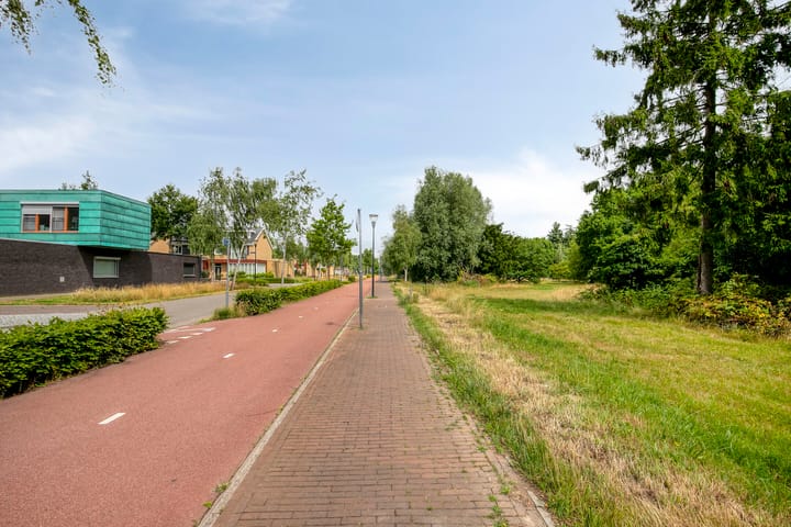 Foto 30 van Grasfonteinkruid 7