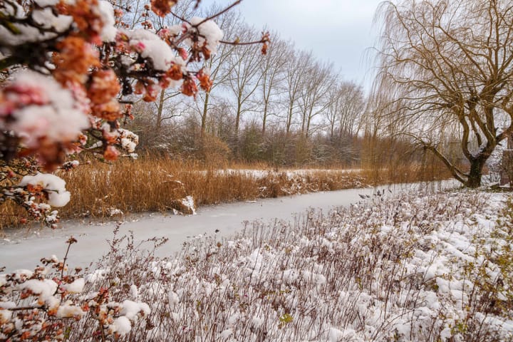 Foto 49 van Maldivenweg 104