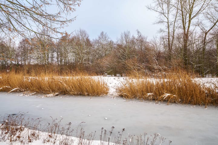 Foto 48 van Maldivenweg 104