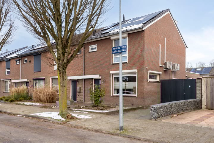 Foto 41 van Amalia van Solmsstraat 13