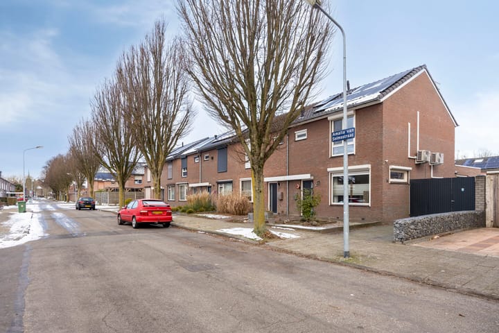 Foto 45 van Amalia van Solmsstraat 13