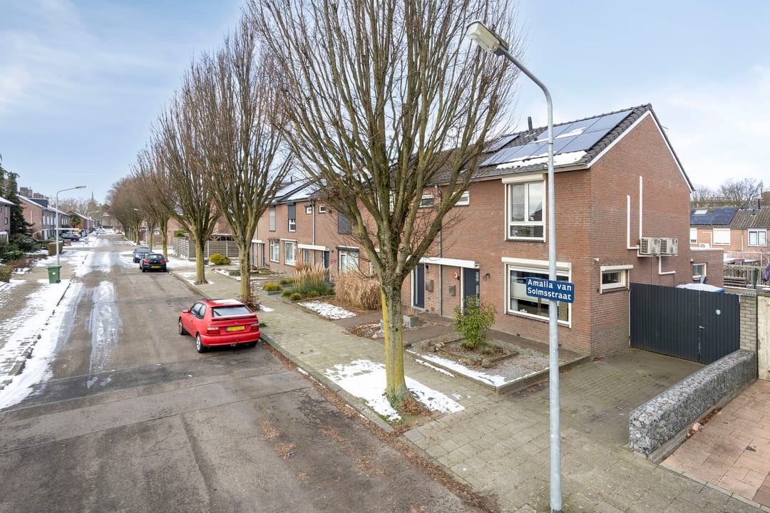 Photo 46 of Amalia van Solmsstraat 13