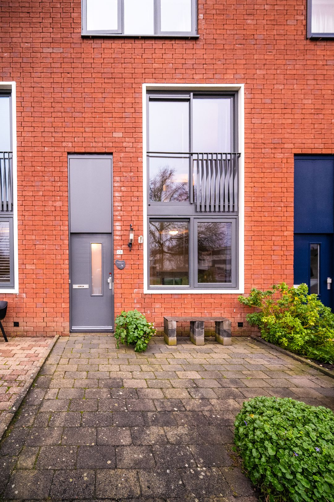 Photo 2 of Zwarte Specht 58