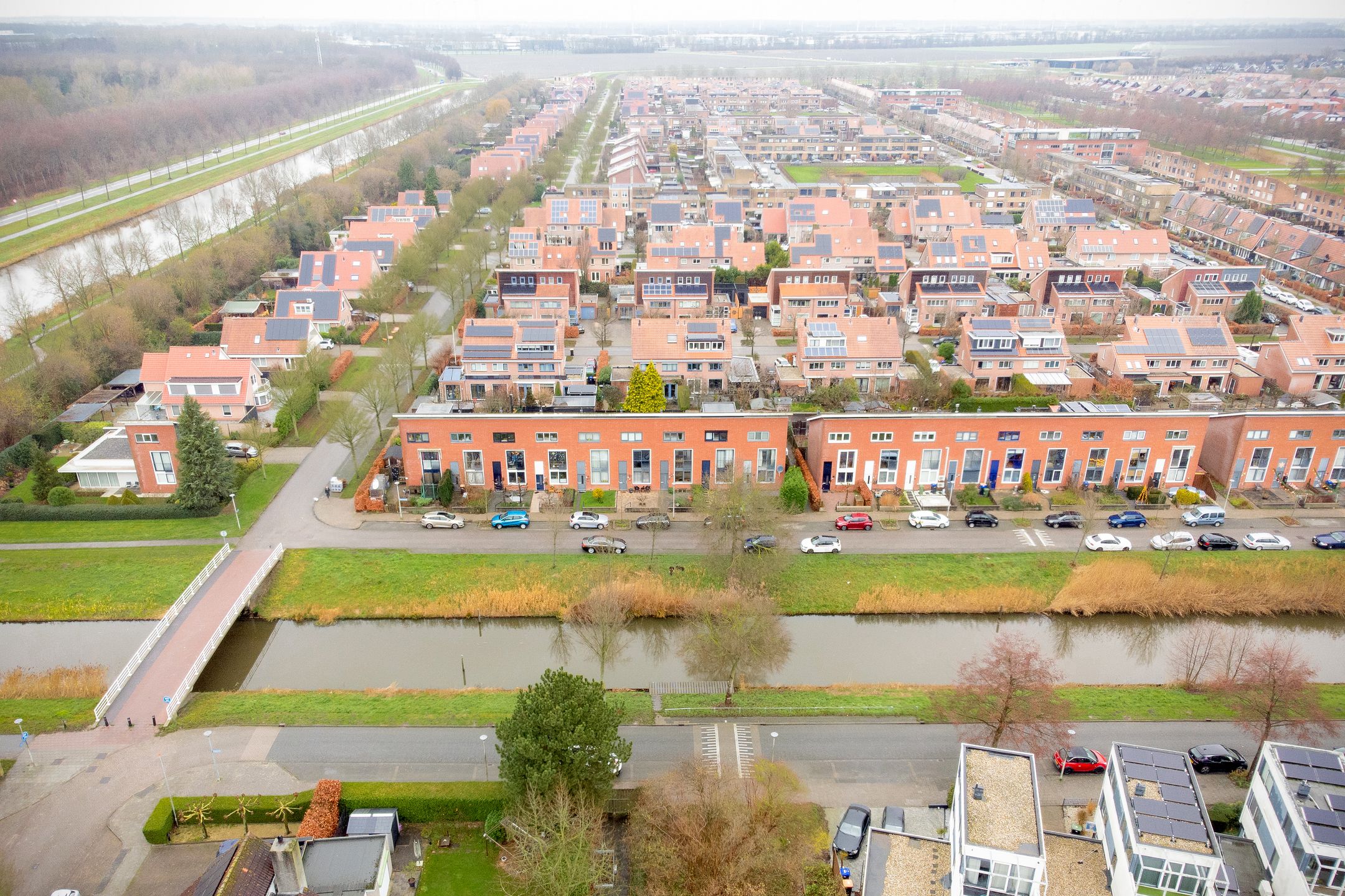 Photo 3 of Zwarte Specht 58